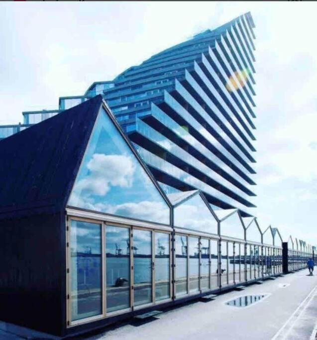 Lejlighed Private Seaview - 2 Balconies, 11th Floor, Elevator, Friendly Lively Area *